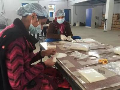 香蕉樹皮革命 為3.55億女性提供可降解的月經(jīng)管理解決方案